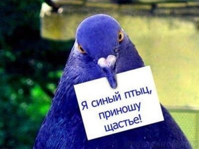 Международный день счастья в 2020 году: поздравления, прикольные картинки и короткие смс