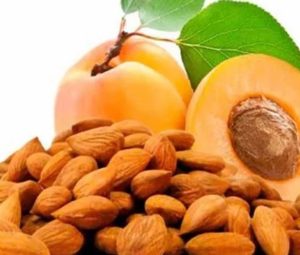 Абрикосовые косточки: польза и вред для здоровья, отзывы